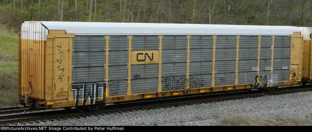 CN 704119